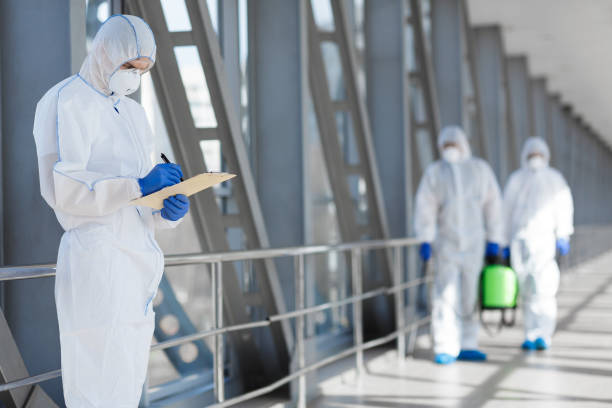 Best Water Damage & Mold Remediation  in Donald, OR