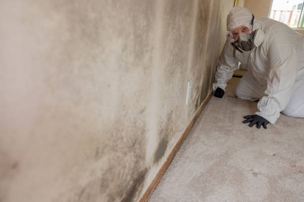 Best Mold Remediation for Healthcare Facilities  in Donald, OR