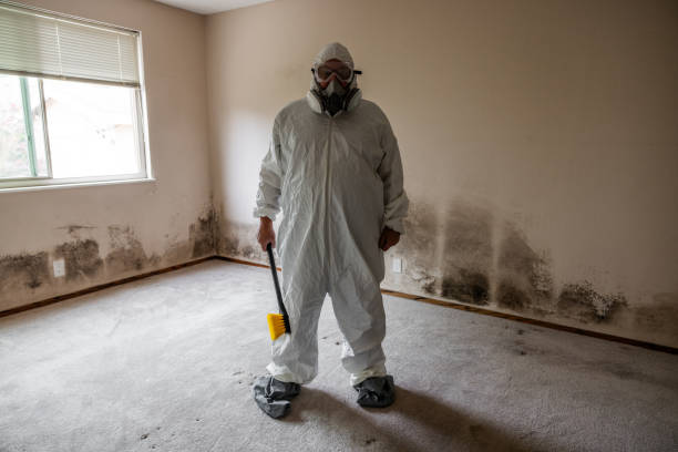 Best Attic Mold Removal  in Donald, OR